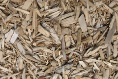 biomass boilers Cann Common
